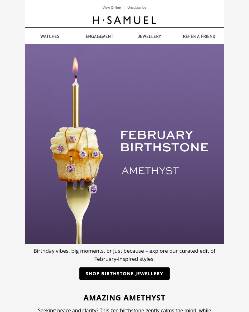 Screenshot of email with subject /media/emails/the-february-monthly-edit-aa5938-cropped-d9871253.jpg