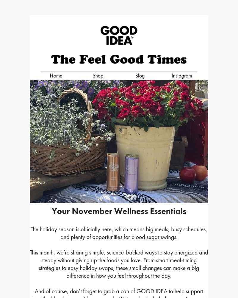 Screenshot of email with subject /media/emails/the-feel-good-times-monthly-newsletter-0bb293-cropped-2e8a7ee4.jpg