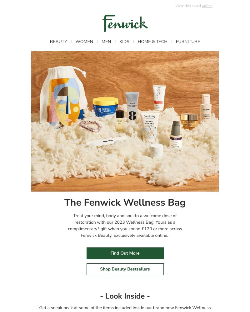 Screenshot of email with subject /media/emails/the-fenwick-wellness-bag-2023-is-here-e434d1-cropped-e2033f11.jpg