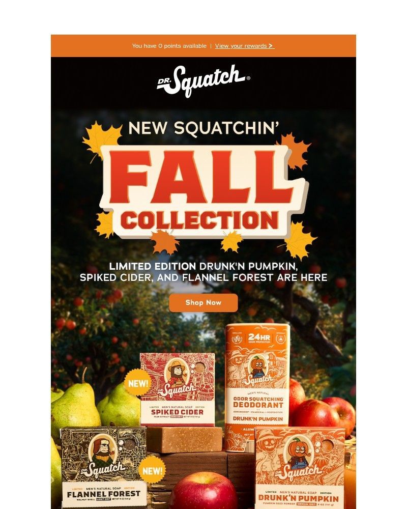 Screenshot of email with subject /media/emails/the-freshest-fall-collection-yet-d424d7-cropped-ed002e31.jpg