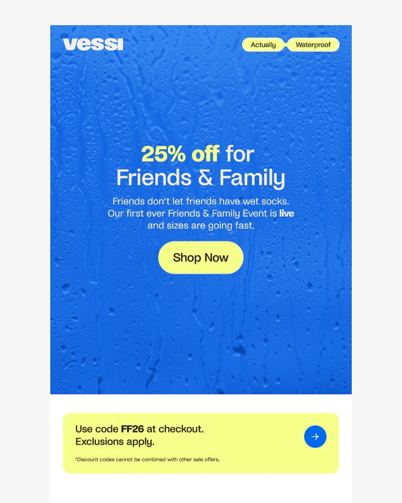 Screenshot of email sent to a Vessi Seller