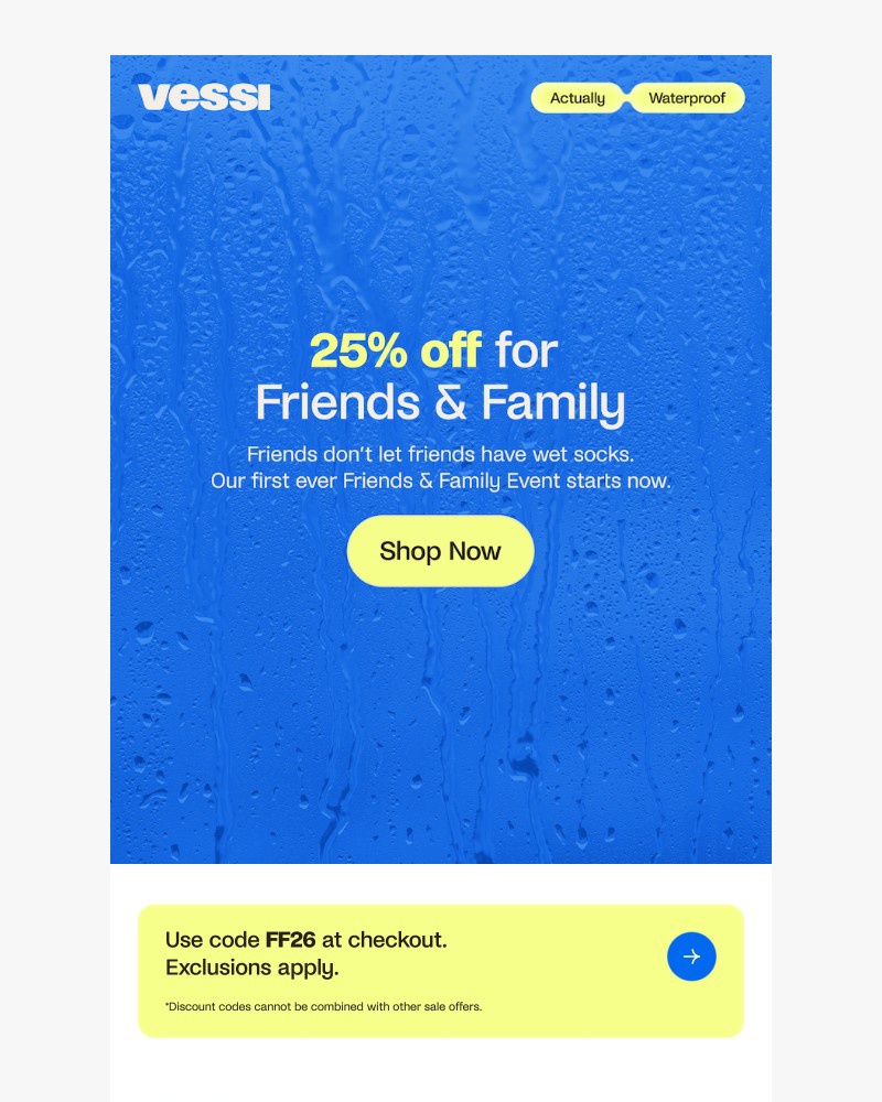 Screenshot of email sent to a Vessi Seller