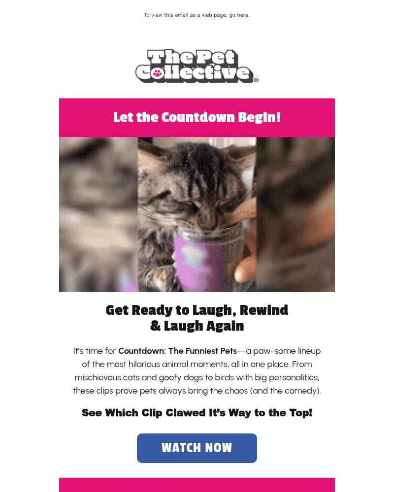 Screenshot of email with subject /media/emails/the-funniest-pets-are-counting-down-535ca2-cropped-cfa83de2.jpg