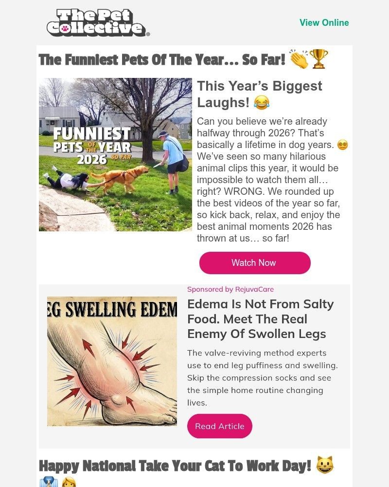 Screenshot of email with subject /media/emails/the-funniest-pets-of-the-year-so-far-542aee-cropped-20e8bcc3.jpg
