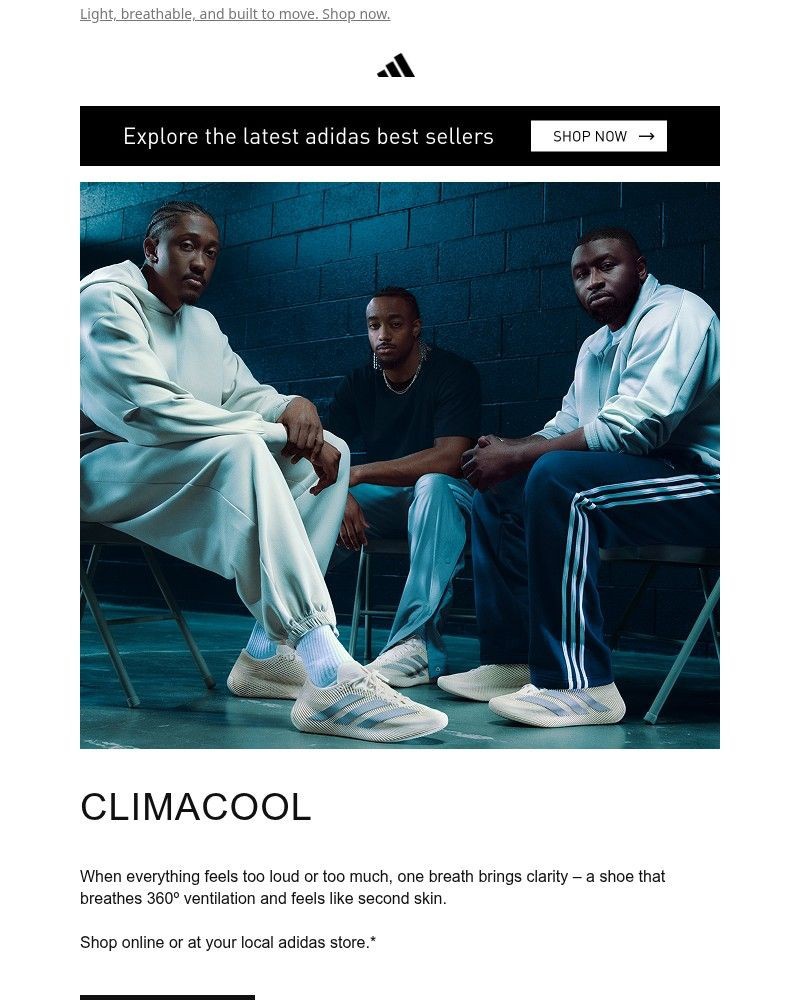 Screenshot of email sent to a Adidas Newsletter subscriber
