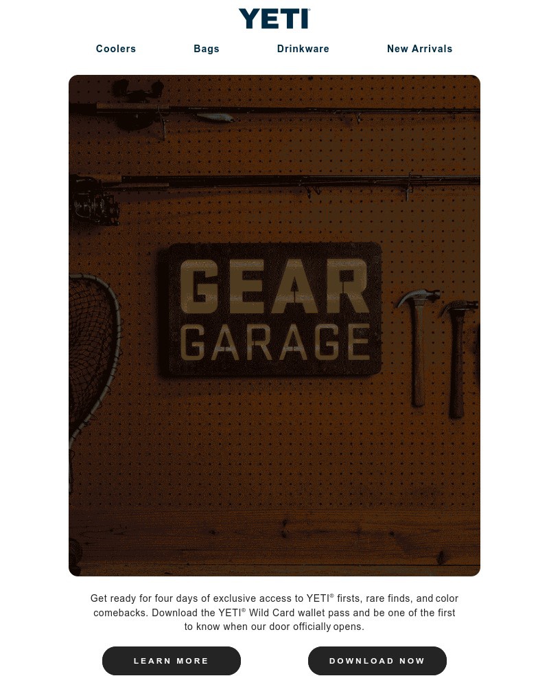 Screenshot of email sent to a Yeti Newsletter subscriber