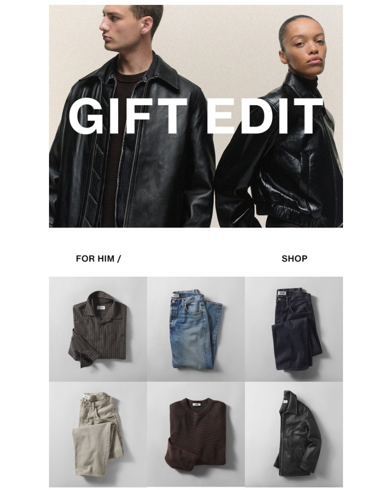 Screenshot of email with subject /media/emails/the-gift-edit-54c85c-cropped-57fe7326.jpg