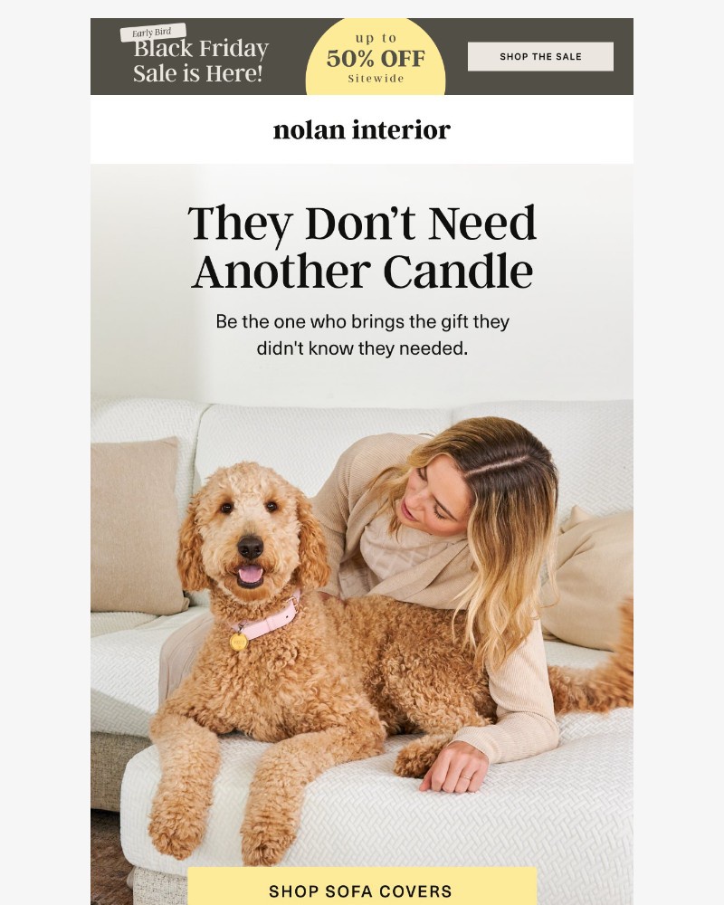 Screenshot of email sent to a Nolan Interior Newsletter subscriber