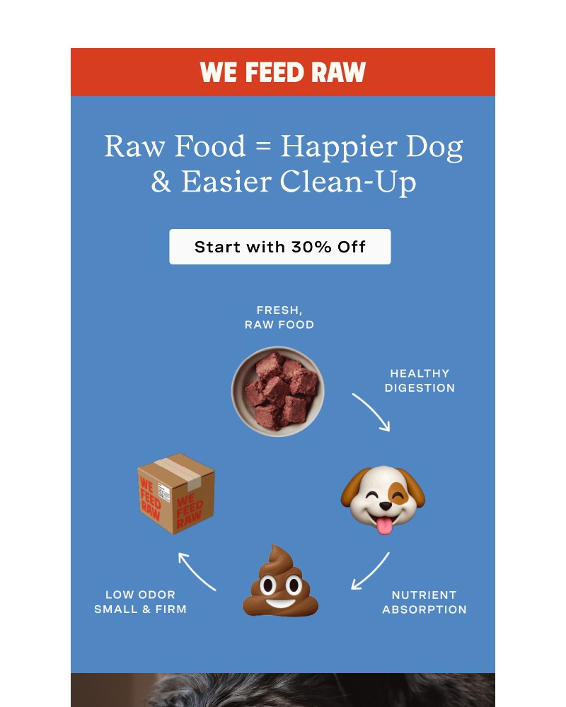 Screenshot of email with subject /media/emails/the-great-poop-cycle-28b534-cropped-ac056dc6.jpg