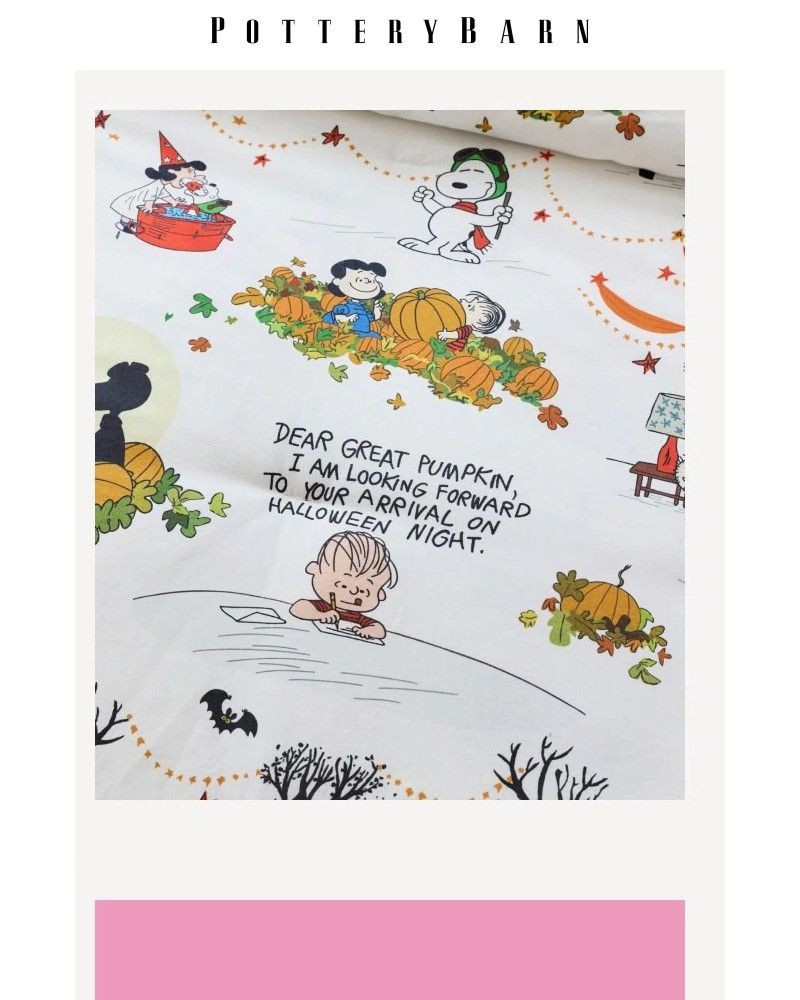 Screenshot of email with subject /media/emails/the-great-pumpkin-is-coming-7c8758-cropped-de4f0221.jpg