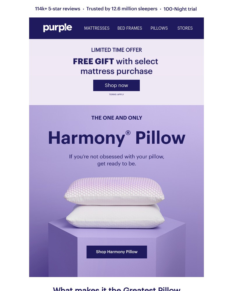 Screenshot of email with subject /media/emails/the-greatest-pillow-ever-inventedtm-fe9cc0-cropped-504e51bf.jpg