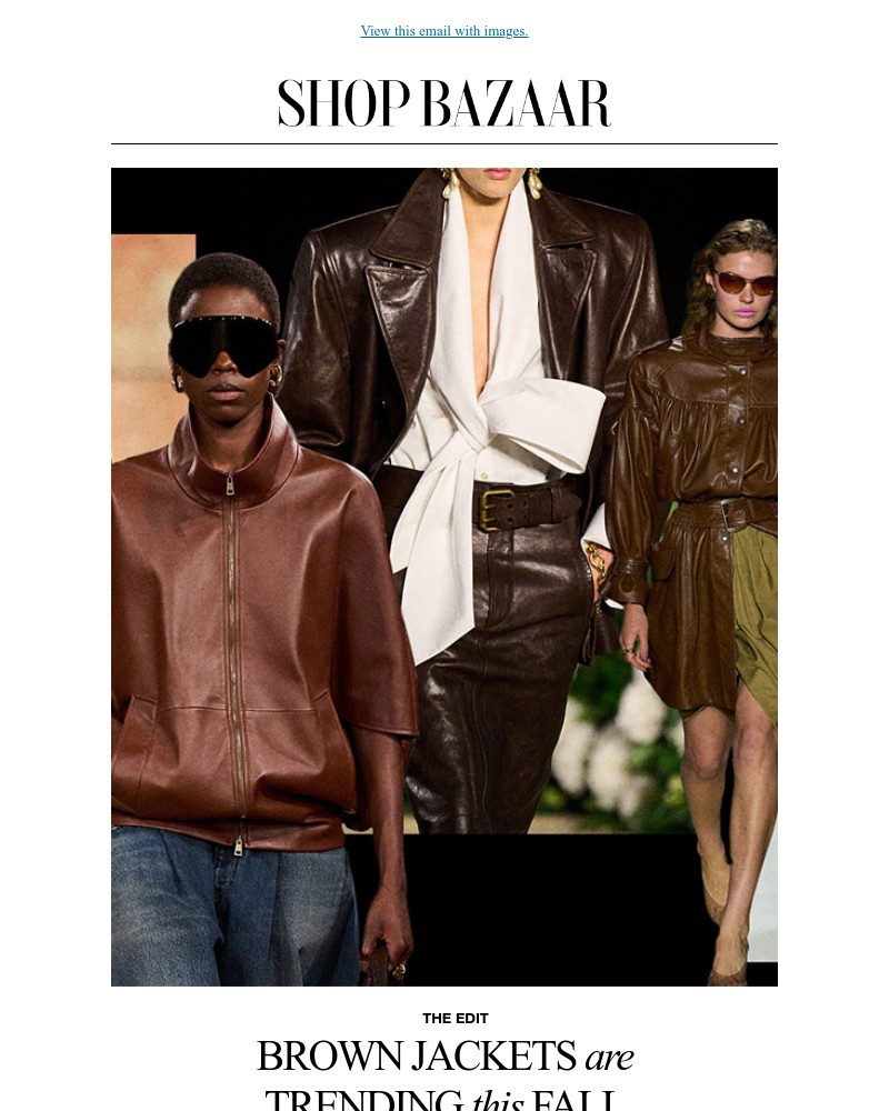 Screenshot of email with subject /media/emails/the-hero-brown-leather-jackets-b9d602-cropped-5ad5b185.jpg