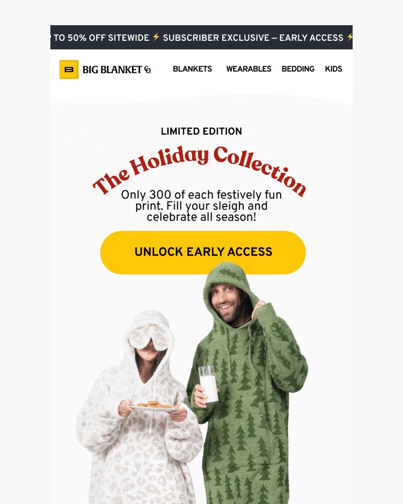 Screenshot of email with subject /media/emails/the-holiday-collection-is-here-a02a13-cropped-87058d85.jpg