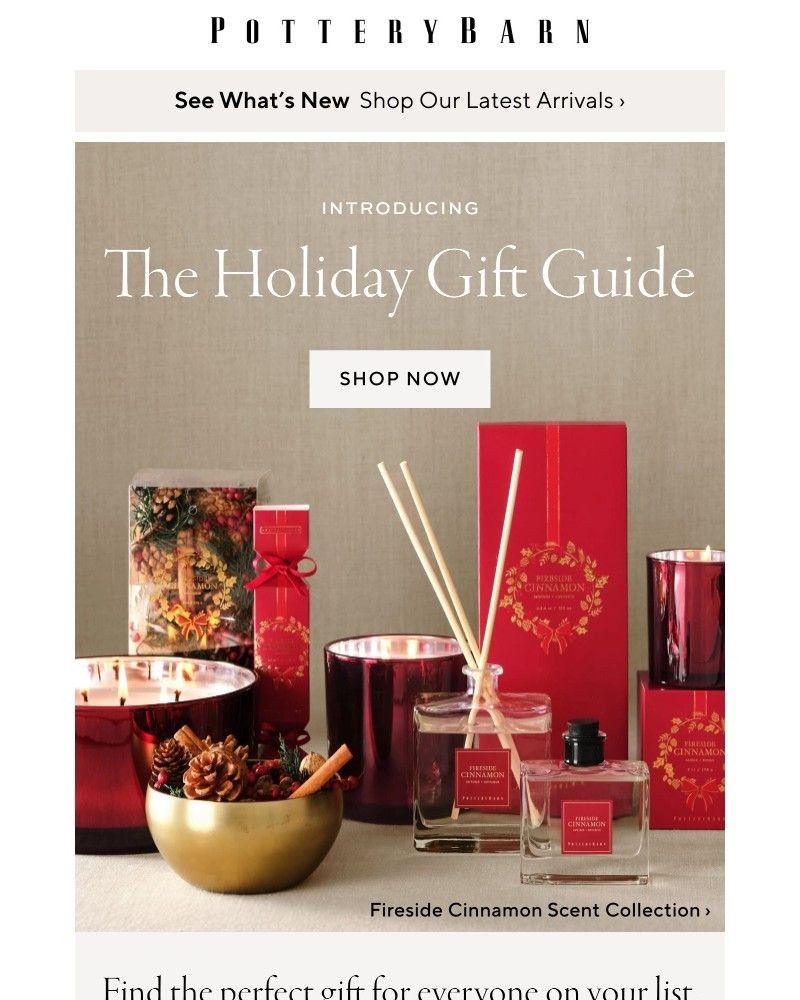 Screenshot of email with subject /media/emails/the-holiday-gift-guide-is-here-359b78-cropped-c1fb3bb3.jpg