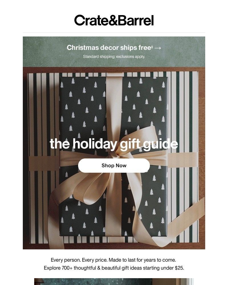 Screenshot of email with subject /media/emails/the-holiday-gift-guide-is-here-68b6e1-cropped-a4dd1e68.jpg