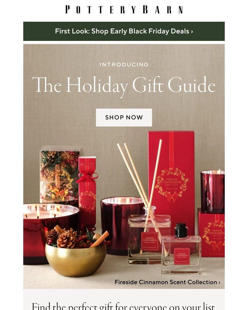 Screenshot of email with subject /media/emails/the-holiday-gift-guide-is-here-f396bf-cropped-13b5a347.jpg