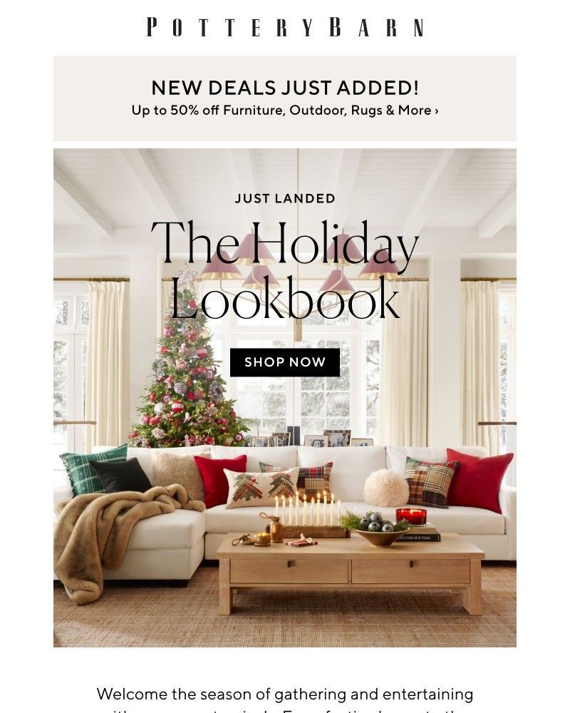 Screenshot of email with subject /media/emails/the-holiday-lookbook-is-here-a0ff67-cropped-c264aef4.jpg