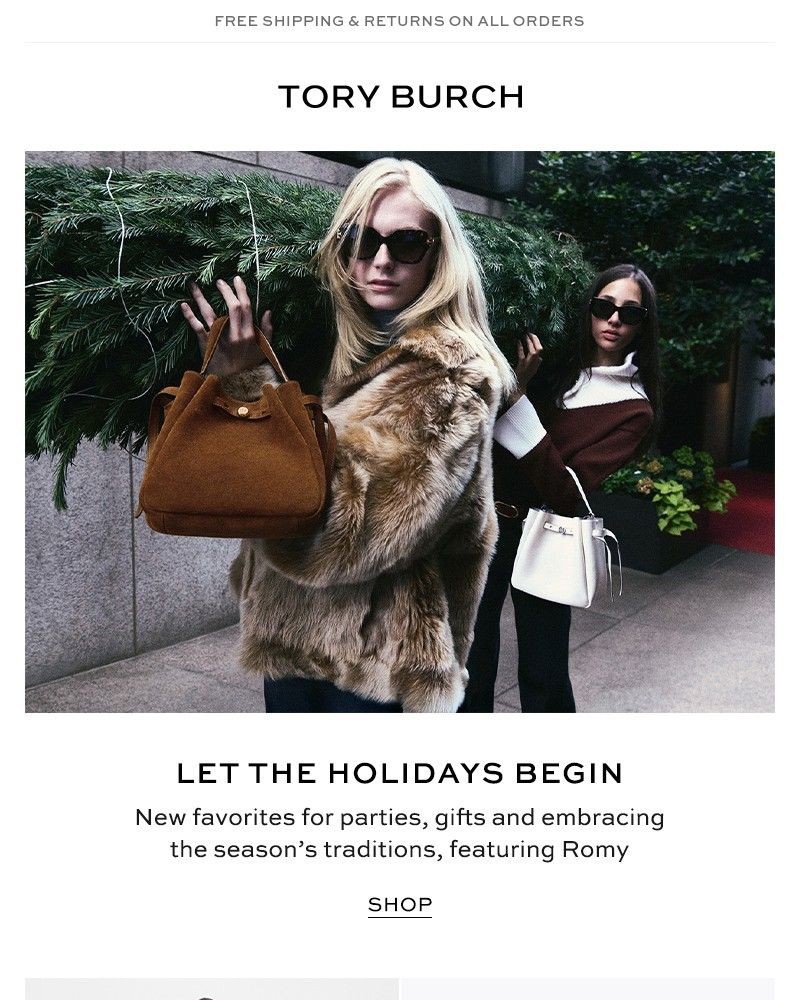 Screenshot of email with subject /media/emails/the-holidays-have-arrived-d5c58c-cropped-d642c85b.jpg