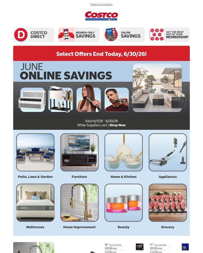 Screenshot of email sent to a Costco Newsletter subscriber