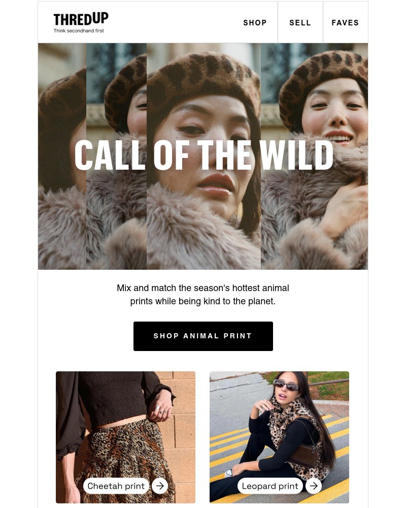 Screenshot of email with subject /media/emails/the-hottest-animal-prints-of-the-season-c8f9eb-cropped-c1bc5bf5.jpg