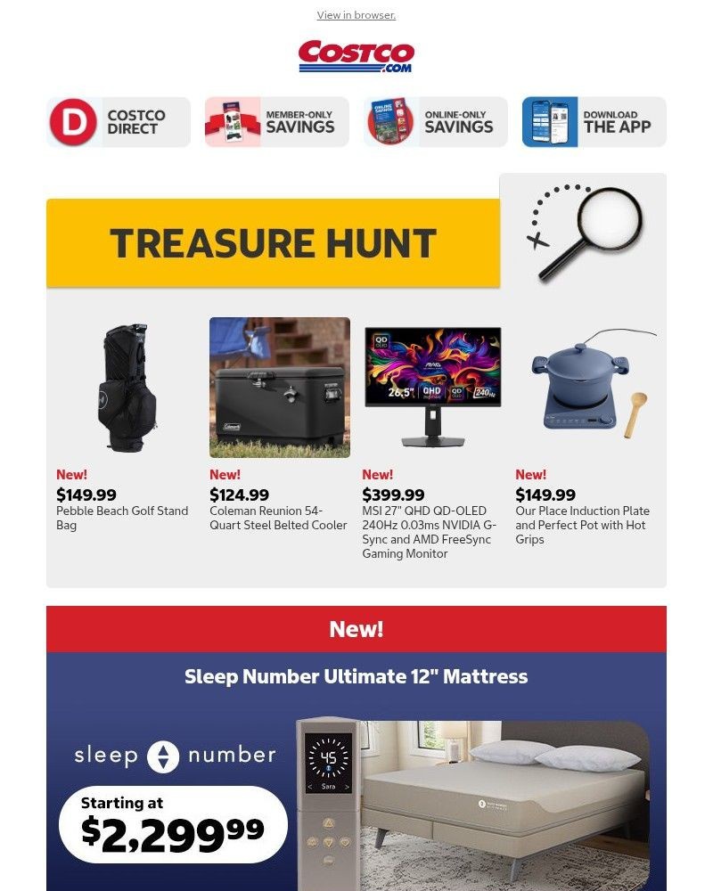 Screenshot of email with subject /media/emails/the-hunt-for-your-next-favorite-find-fa731b-cropped-3a50e213.jpg