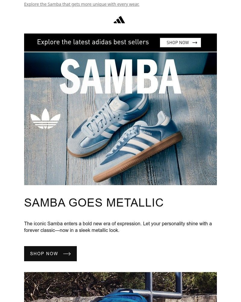 Screenshot of email sent to a Adidas Newsletter subscriber