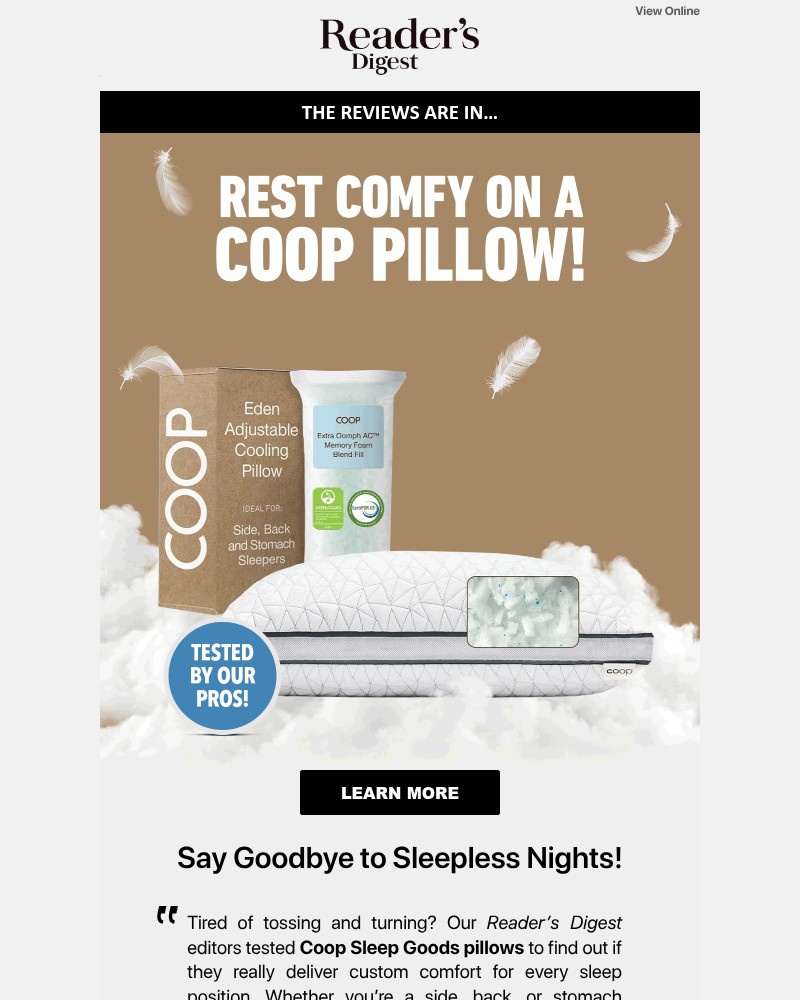 Screenshot of email with subject /media/emails/the-internet-loves-this-pillowbut-is-it-good-1adc3a-cropped-32fabe09.jpg