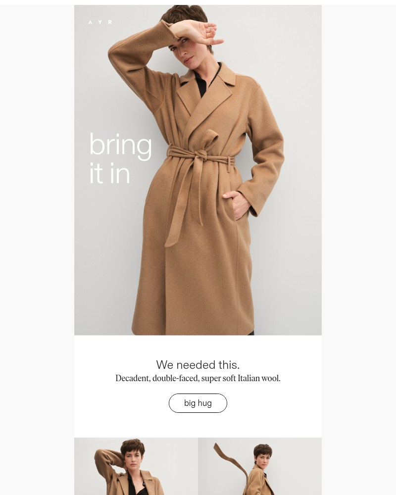 Screenshot of email sent to a AYR Newsletter subscriber