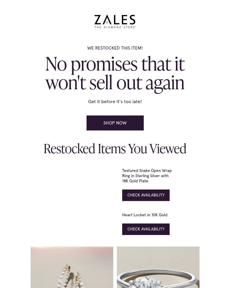 Screenshot of email sent to a Zales Newsletter subscriber