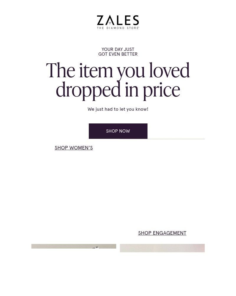Screenshot of email with subject /media/emails/the-item-you-loved-just-dropped-in-price-43441c-cropped-78613e68.jpg