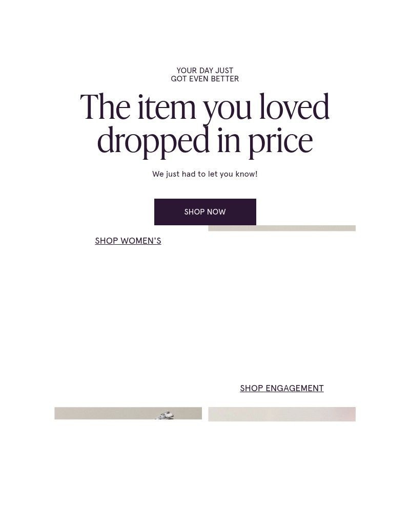 Screenshot of email with subject /media/emails/the-item-you-loved-just-dropped-in-price-b2b298-cropped-585d5fb8.jpg