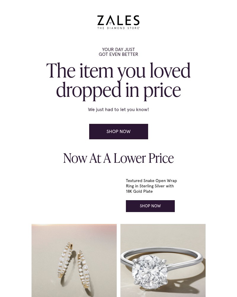 Screenshot of email with subject /media/emails/the-item-you-loved-just-dropped-in-price-fb07d3-cropped-7167818f.jpg