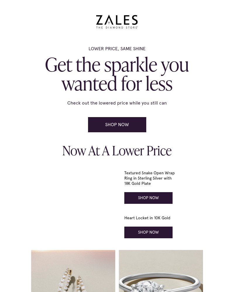 Screenshot of email with subject /media/emails/the-item-you-viewed-just-lowered-in-price-06e3bc-cropped-1f36f01f.jpg