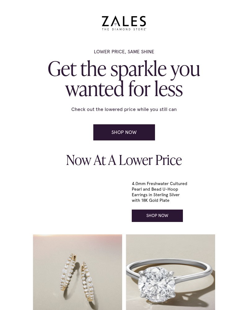 Screenshot of email with subject /media/emails/the-item-you-viewed-just-lowered-in-price-b1c732-cropped-dc0f9504.jpg