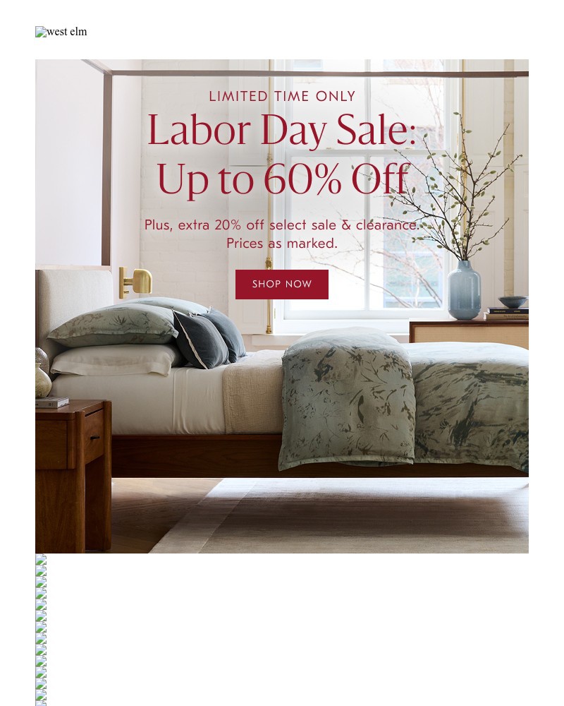 Screenshot of email with subject /media/emails/the-labor-day-sale-up-to-60-off-3a8408-cropped-543ebe21.jpg