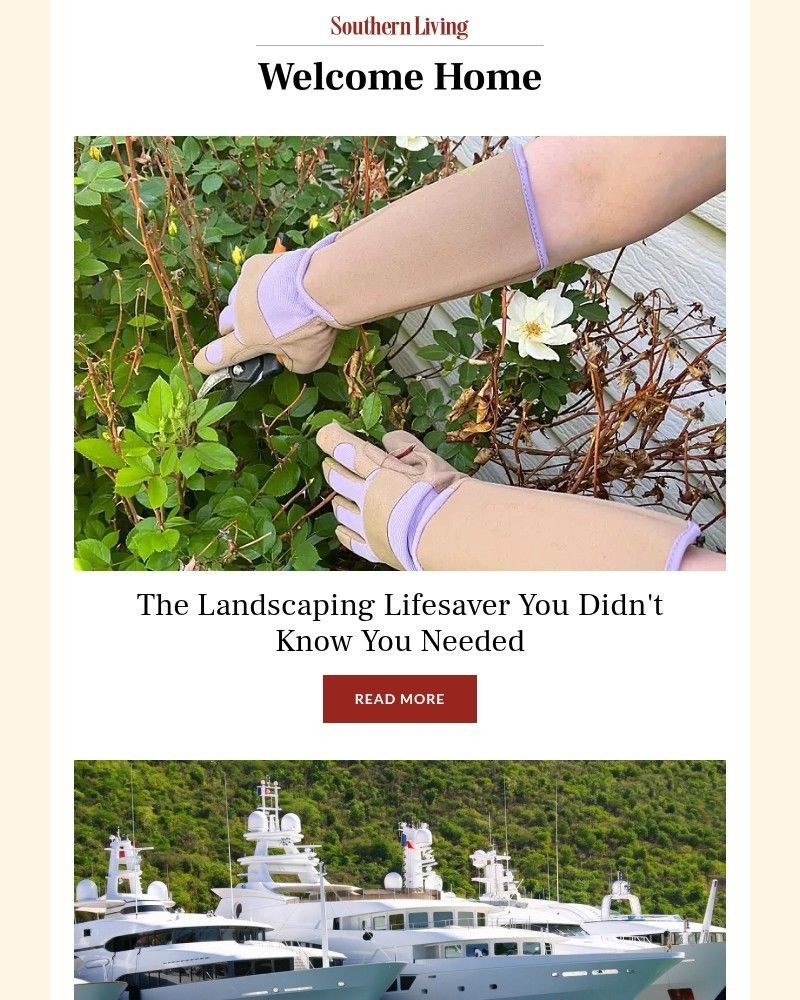 Screenshot of email with subject /media/emails/the-landscaping-lifesaver-you-didnt-know-you-needed-fa5145-cropped-52fa9692.jpg