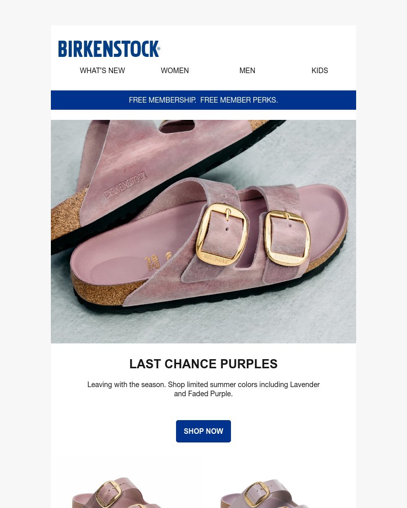 Screenshot of email with subject /media/emails/the-last-of-summer-lavender-11a949-cropped-9f06bff4.jpg