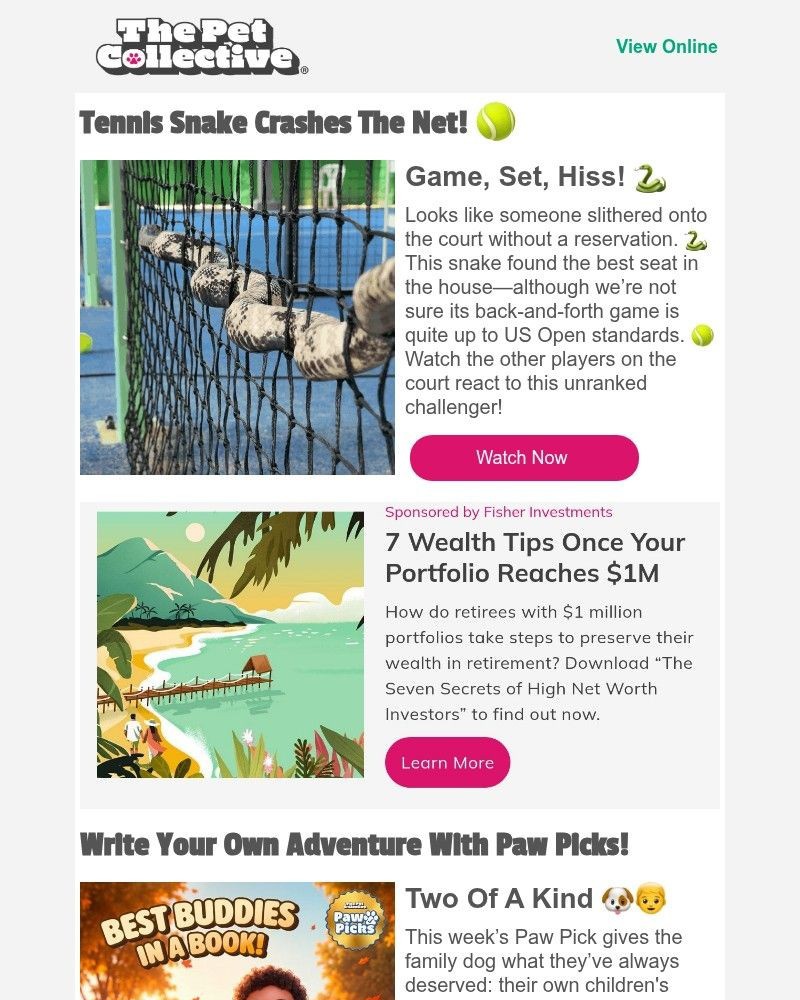 Screenshot of email with subject /media/emails/the-last-place-youd-expect-to-find-a-snake-fc1983-cropped-fafaabfc.jpg