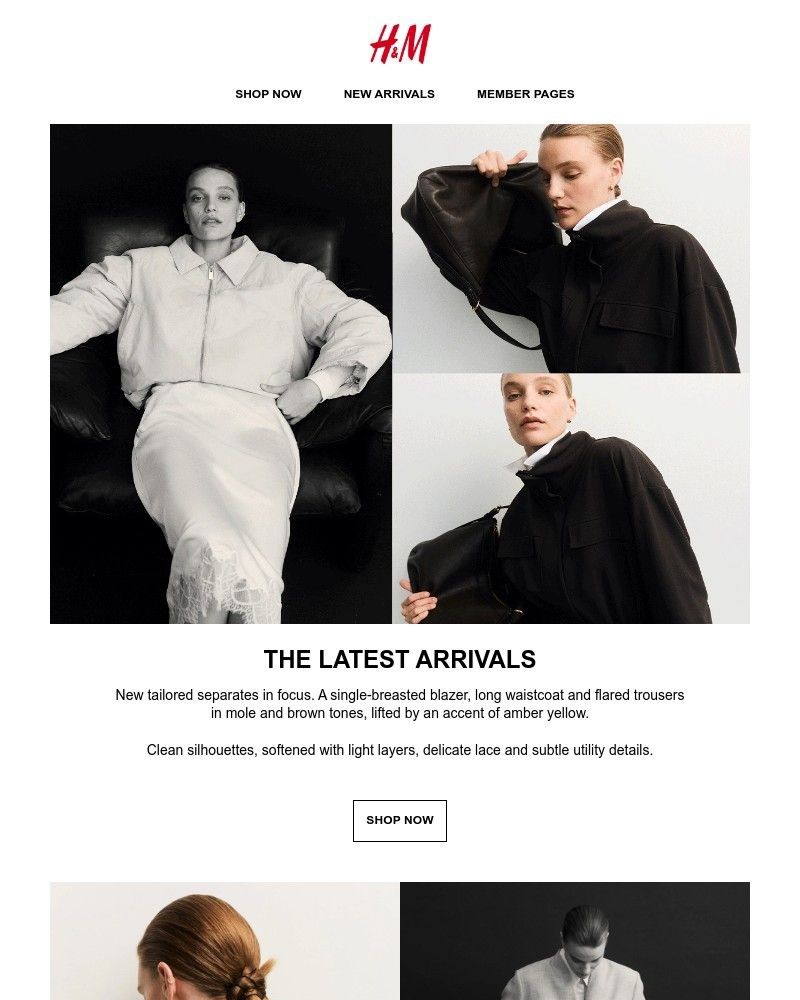 Screenshot of email with subject /media/emails/the-latest-arrivals-21ab04-cropped-56806bb0.jpg