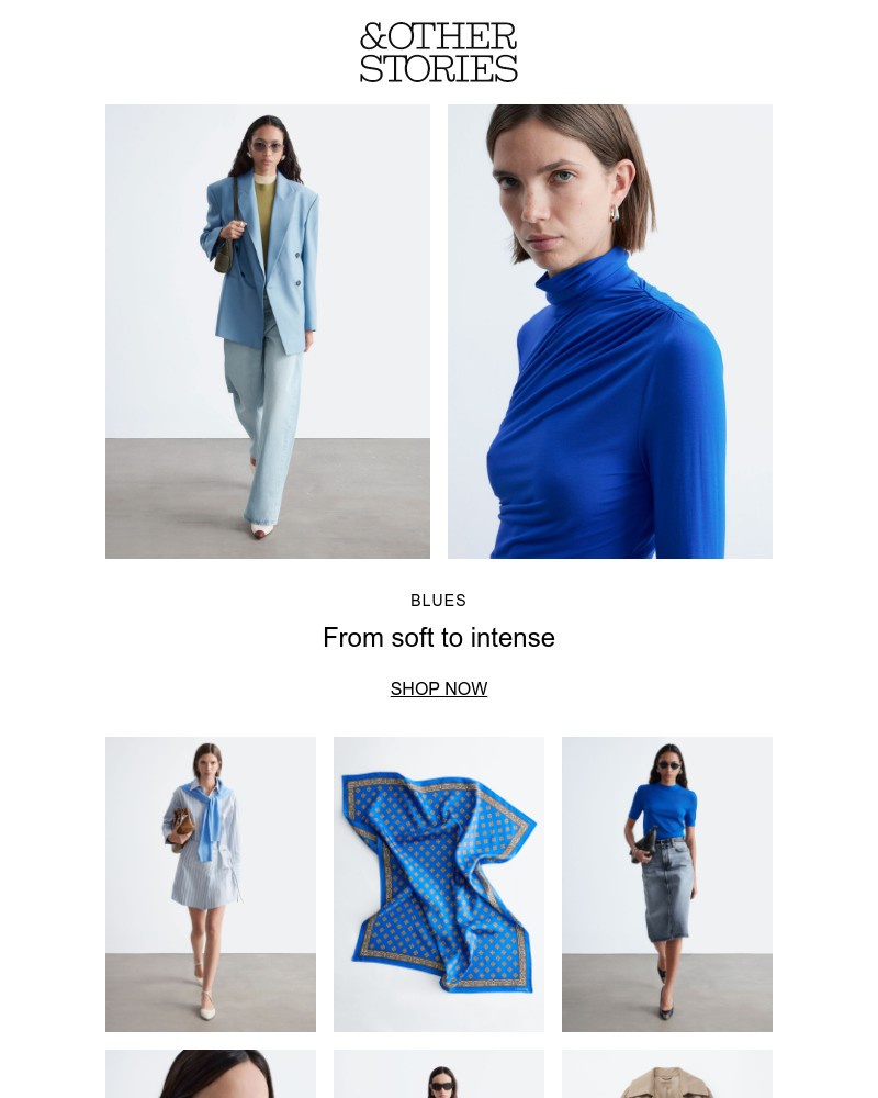 Screenshot of email with subject /media/emails/the-latest-blue-hues-ffa451-cropped-60f45c6f.jpg