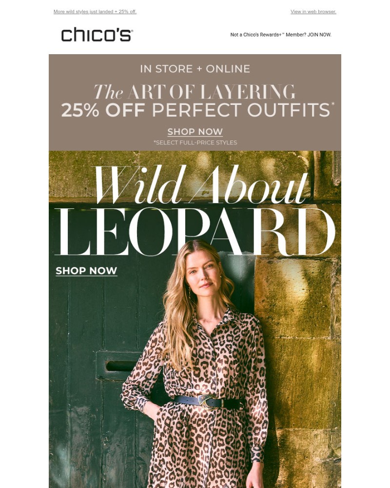 Screenshot of email with subject /media/emails/the-latest-in-leopard-4ce65f-cropped-1c13ee63.jpg