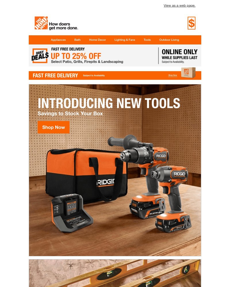 Screenshot of email sent to a Home Depot Newsletter subscriber