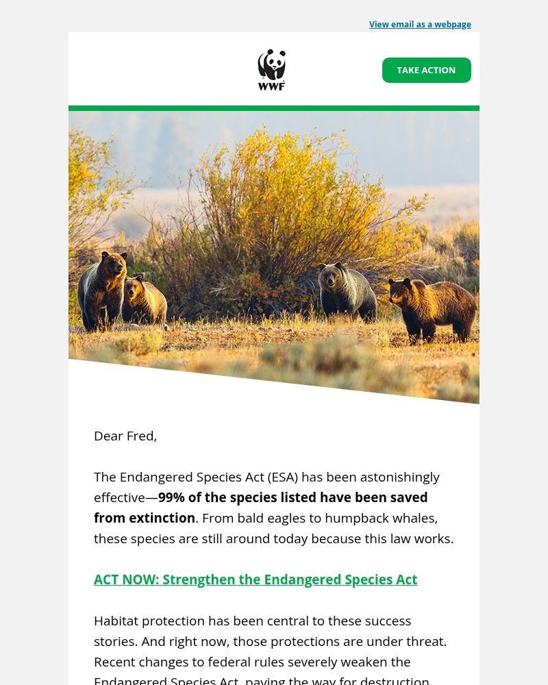 Screenshot of email sent to a World Wildlife Fund Newsletter subscriber