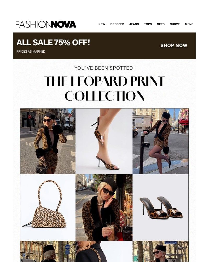 Screenshot of email with subject /media/emails/the-leopard-collections-meant-to-get-attention-66b93b-cropped-f57f3365.jpg