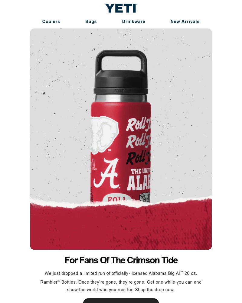 Screenshot of email sent to a Yeti Newsletter subscriber