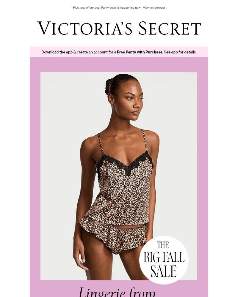 Screenshot of email with subject /media/emails/the-lingerie-deal-you-love-d7bd73-cropped-49d4b9cd.jpg