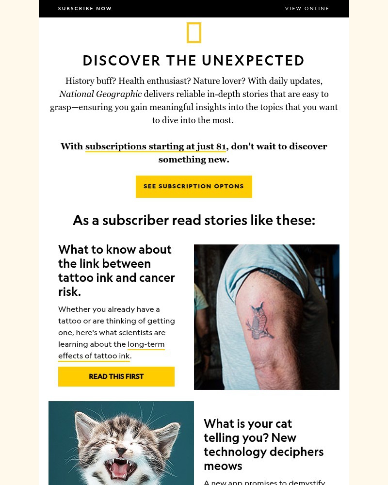 Screenshot of email with subject /media/emails/the-link-between-tattoos-and-cancer-plus-the-rise-of-autism-in-women-just-1month-_3npnKWd.jpg