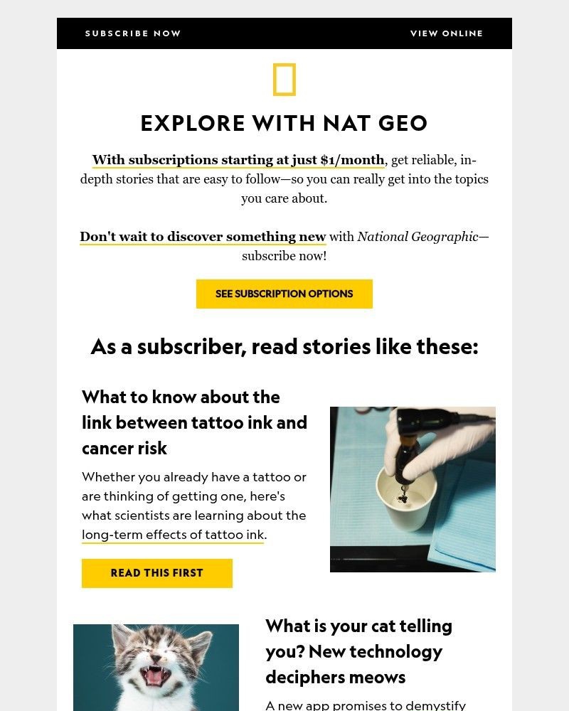 Screenshot of email with subject /media/emails/the-link-between-tattoos-and-cancer-plus-the-rise-of-autism-in-women-just-1month-_YpgMGL4.jpg