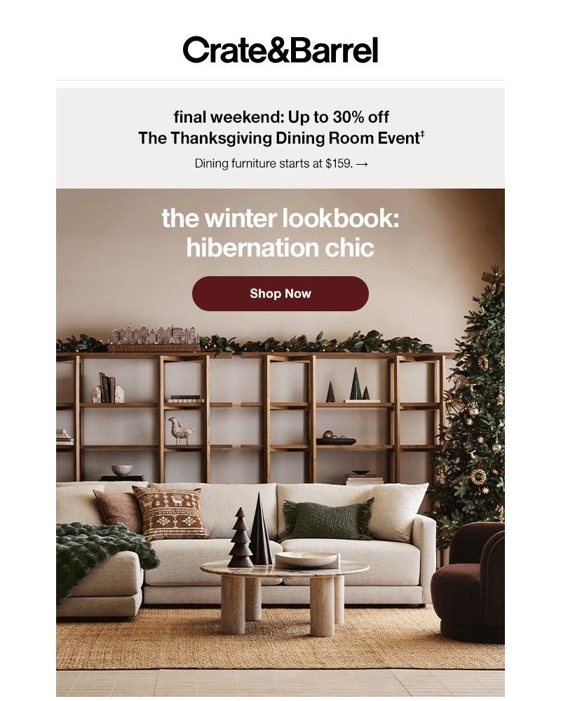 Screenshot of email with subject /media/emails/the-look-we-want-to-come-home-to-all-winter-long-f29b1f-cropped-9442cd50.jpg