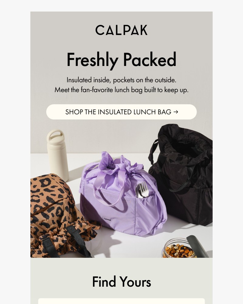 Screenshot of email sent to a Calpak Newsletter subscriber